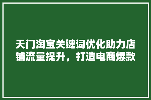 天门淘宝关键词优化助力店铺流量提升，打造电商爆款 百度SEO