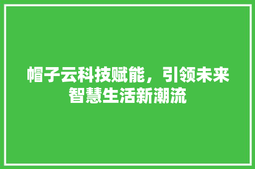 帽子云科技赋能，引领未来智慧生活新潮流 必应SEO