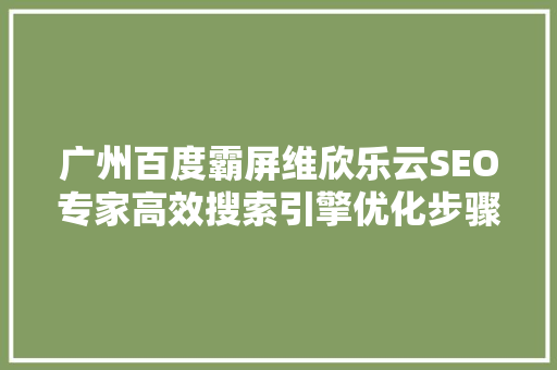 广州百度霸屏维欣乐云SEO专家高效搜索引擎优化步骤