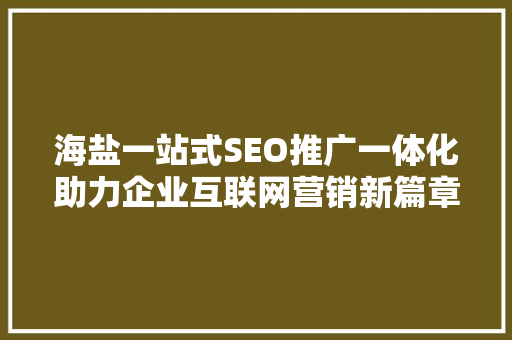 海盐一站式SEO推广一体化助力企业互联网营销新篇章 必应SEO