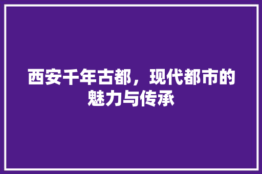 西安千年古都，现代都市的魅力与传承 神马SEO