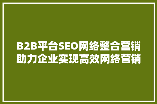 B2B平台SEO网络整合营销助力企业实现高效网络营销 神马SEO