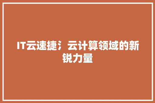 IT云速捷氵云计算领域的新锐力量