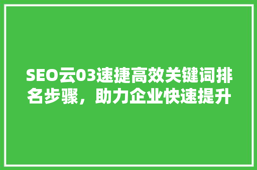 SEO云03速捷高效关键词排名步骤，助力企业快速提升在线知名度