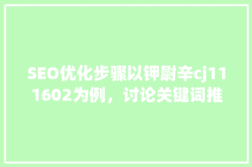 SEO优化步骤以钾尉辛cj111602为例，讨论关键词推广之路 GoogleSEO