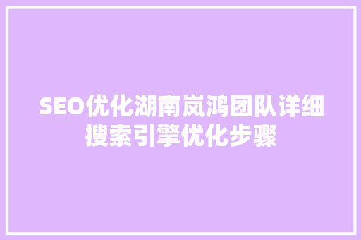 SEO优化湖南岚鸿团队详细搜索引擎优化步骤 GoogleSEO