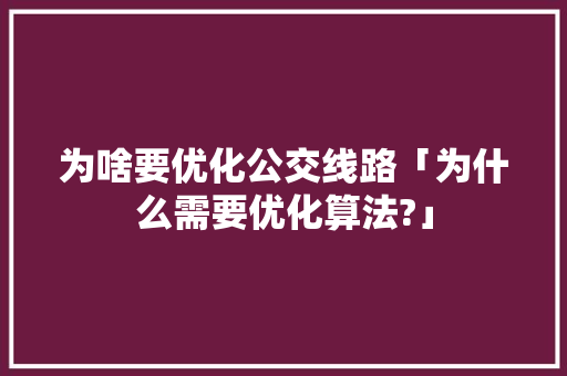 为啥要优化公交线路「为什么需要优化算法?」 为啥要优化公交线路「为什么需要优化算法?」 百度SEO