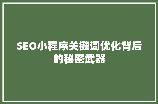SEO小程序关键词优化背后的秘密武器 神马SEO