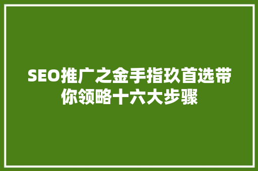 SEO推广之金手指玖首选带你领略十六大步骤