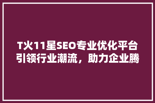 T火11星SEO专业优化平台引领行业潮流，助力企业腾飞