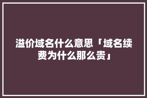 溢价域名什么意思「域名续费为什么那么贵」 溢价域名什么意思「域名续费为什么那么贵」 必应SEO