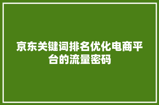 京东关键词排名优化电商平台的流量密码 GoogleSEO