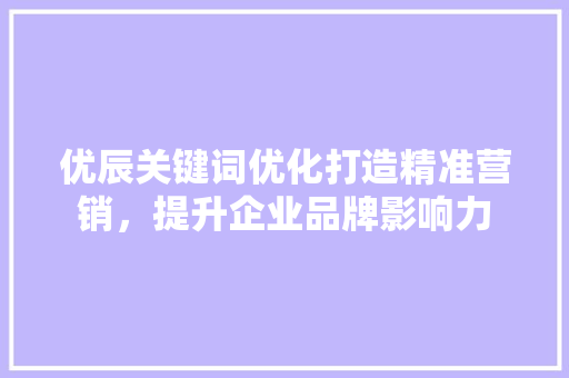 优辰关键词优化打造精准营销，提升企业品牌影响力 GoogleSEO