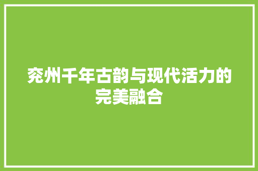 兖州千年古韵与现代活力的完美融合 百度SEO