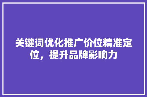 关键词优化推广价位精准定位，提升品牌影响力