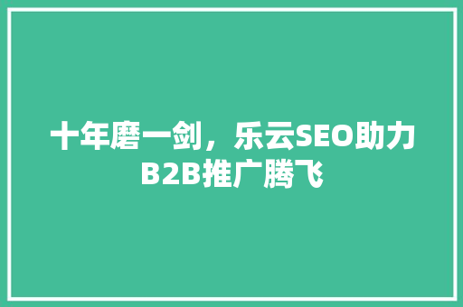 十年磨一剑，乐云SEO助力B2B推广腾飞