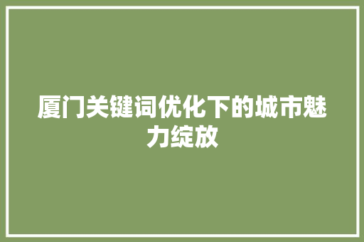 厦门关键词优化下的城市魅力绽放 GoogleSEO