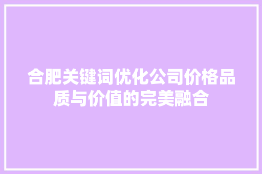 合肥关键词优化公司价格品质与价值的完美融合 GoogleSEO