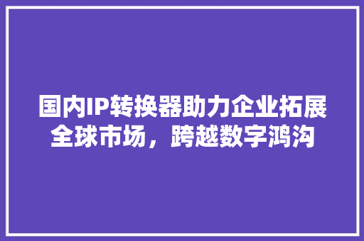 国内IP转换器助力企业拓展全球市场，跨越数字鸿沟 必应SEO