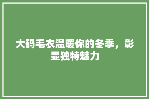 大码毛衣温暖你的冬季，彰显独特魅力 百度SEO