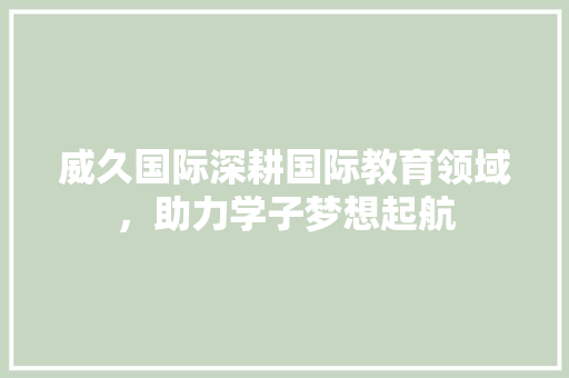 威久国际深耕国际教育领域，助力学子梦想起航 神马SEO