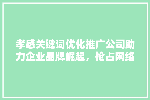 孝感关键词优化推广公司助力企业品牌崛起，抢占网络市场先机 必应SEO