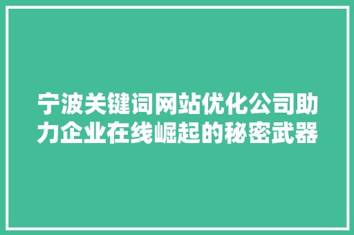 宁波关键词网站优化公司助力企业在线崛起的秘密武器