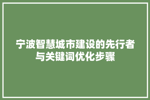 宁波智慧城市建设的先行者与关键词优化步骤