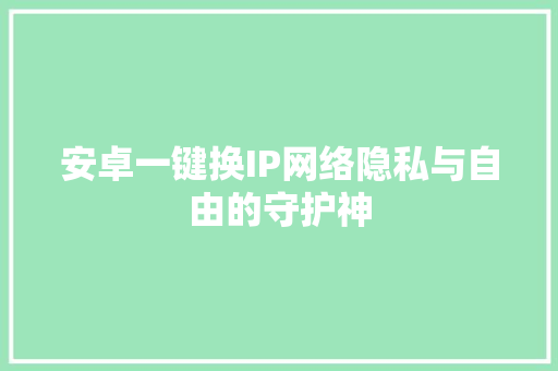 安卓一键换IP网络隐私与自由的守护神 GoogleSEO