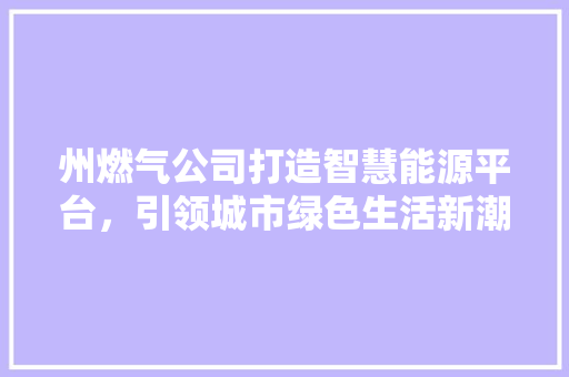 州燃气公司打造智慧能源平台，引领城市绿色生活新潮流 必应SEO