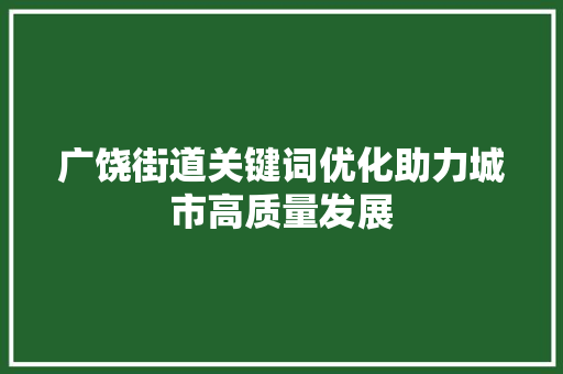 广饶街道关键词优化助力城市高质量发展 百度SEO