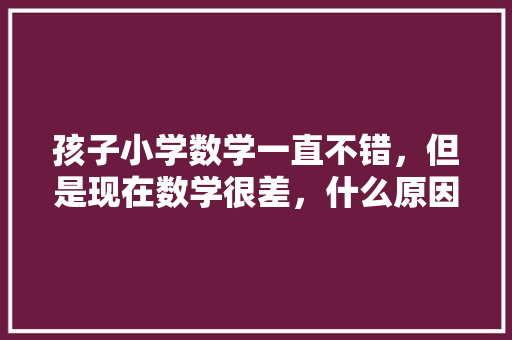 孩子小学数学一直不错，但是现在数学很差，什么原因呢「代数式不会怎么办」 孩子小学数学一直不错，但是现在数学很差，什么原因呢「代数式不会怎么办」 神马SEO