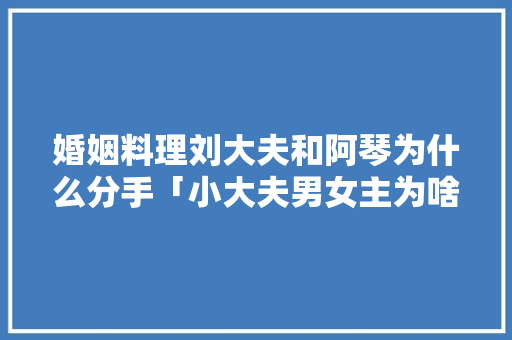 婚姻料理刘大夫和阿琴为什么分手「小大夫男女主为啥离婚」 婚姻料理刘大夫和阿琴为什么分手「小大夫男女主为啥离婚」 必应SEO