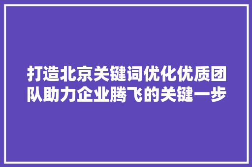 打造北京关键词优化优质团队助力企业腾飞的关键一步 GoogleSEO