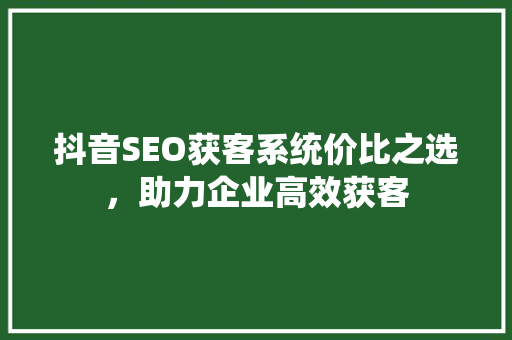 抖音SEO获客系统价比之选，助力企业高效获客 神马SEO