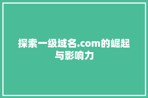 探索一级域名.com的崛起与影响力 百度SEO