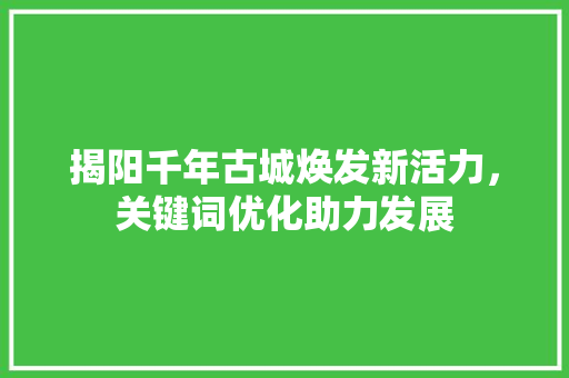 揭阳千年古城焕发新活力，关键词优化助力发展 必应SEO