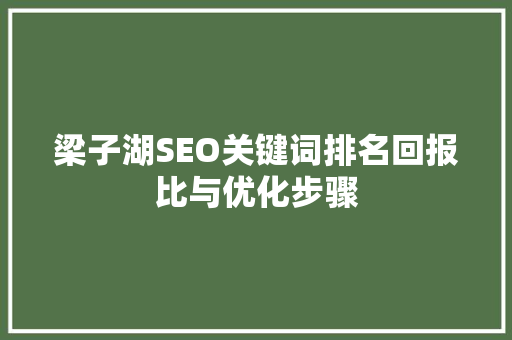 梁子湖SEO关键词排名回报比与优化步骤 GoogleSEO