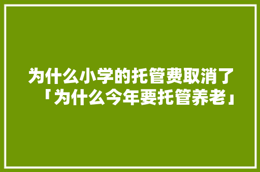 为什么小学的托管费取消了「为什么今年要托管养老」 为什么小学的托管费取消了「为什么今年要托管养老」 神马SEO