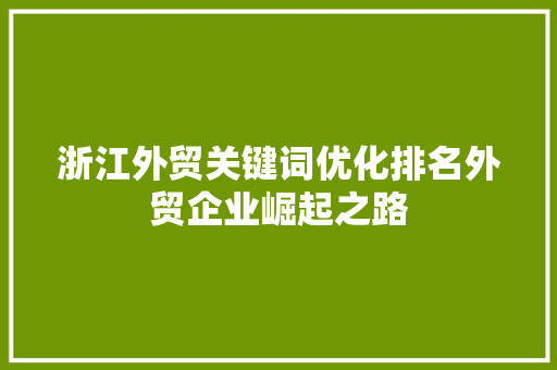 浙江外贸关键词优化排名外贸企业崛起之路 神马SEO