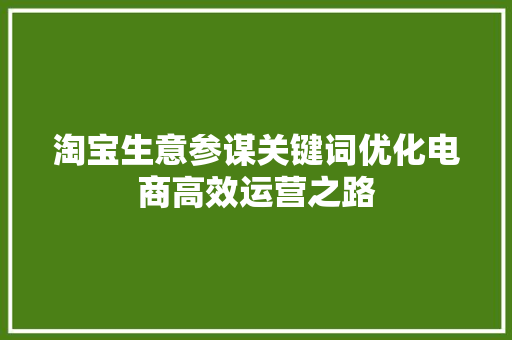 淘宝生意参谋关键词优化电商高效运营之路 百度SEO