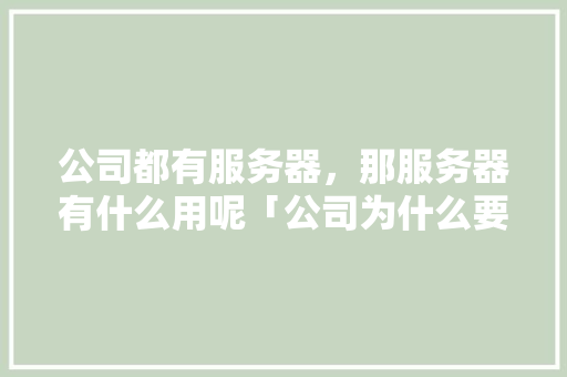 公司都有服务器，那服务器有什么用呢「公司为什么要用服务器上运行程序,而不是每台电脑一个」 公司都有服务器，那服务器有什么用呢「公司为什么要用服务器上运行程序,而不是每台电脑一个」 GoogleSEO