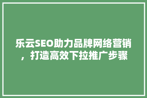 乐云SEO助力品牌网络营销，打造高效下拉推广步骤 必应SEO