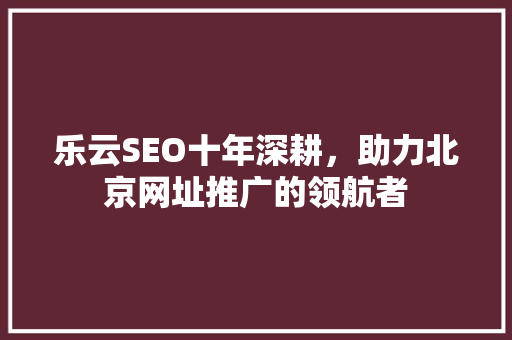 乐云SEO十年深耕，助力北京网址推广的领航者 必应SEO