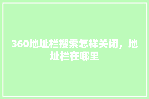 360地址栏搜索怎样关闭，地址栏在哪里