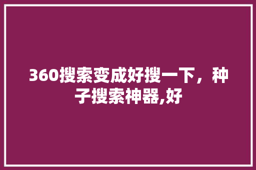 360搜索变成好搜一下,种子搜索神器,好 必应SEO 360搜索变成好搜一下,种子搜索神器,好 必应SEO