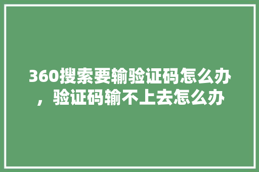 360搜索要输验证码怎么办，验证码输不上去怎么办