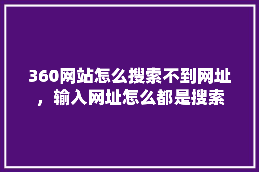 360网站怎么搜索不到网址，输入网址怎么都是搜索 百度SEO