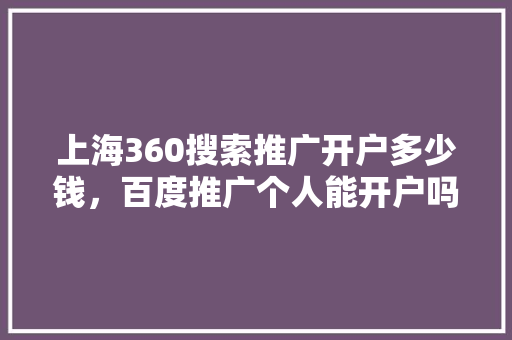 上海360搜索推广开户多少钱，百度推广个人能开户吗 神马SEO