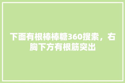 下面有根棒棒糖360搜索，右胸下方有根筋突出 必应SEO